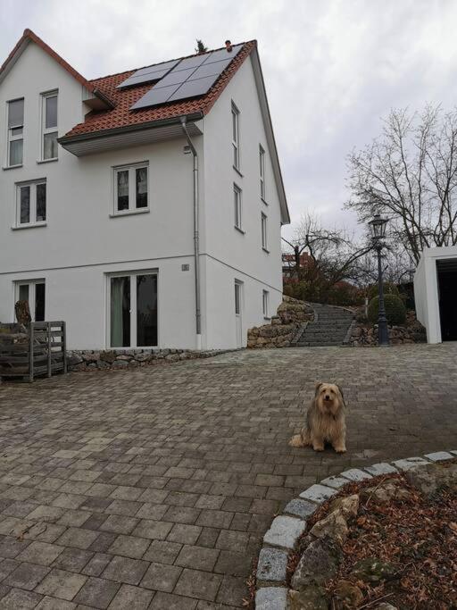 Appartamento RAuszeit Nittendorf Esterno foto